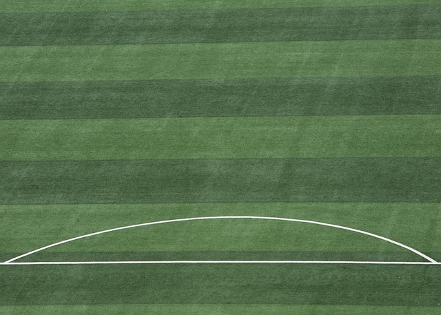 神锋！小蜜蜂前锋蒂亚戈再演梅开二度，联赛13场进11球