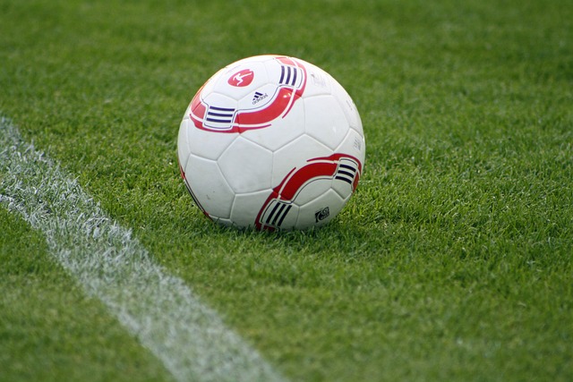 情与奇迹 情与奇迹